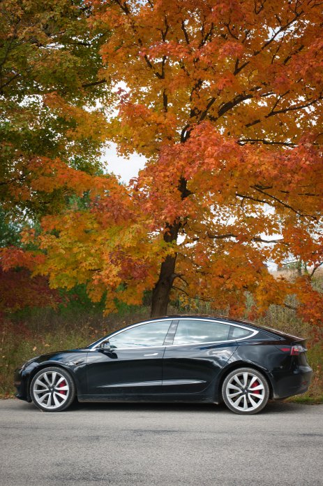 autumn tesla drive the first 019
