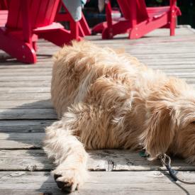 Turtle Lake Cottage 219