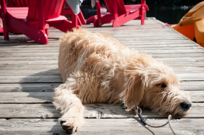 Turtle Lake Cottage 219