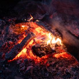 Turtle Lake Cottage 236