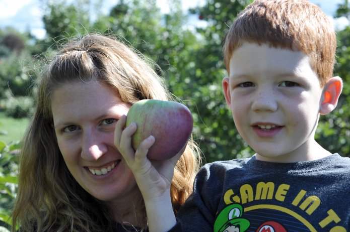 apple-picking-008
