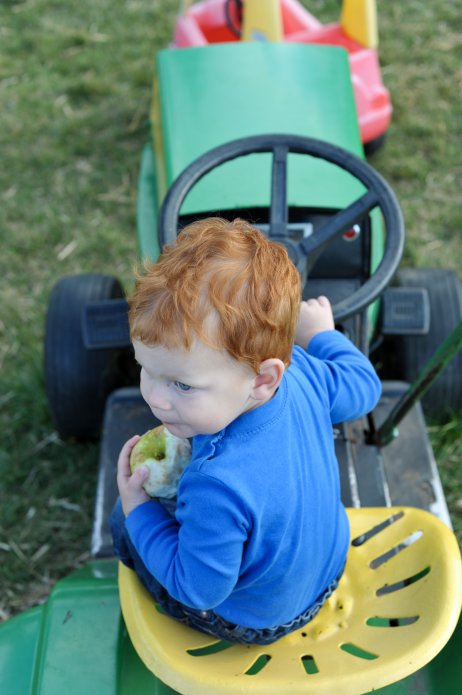 apple-picking-082