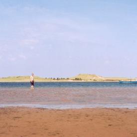 241054713_8fd58008a6_o