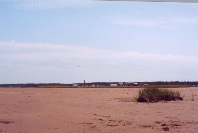 241054737_327b4a454b_o