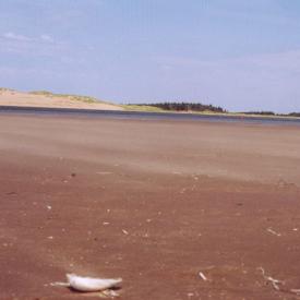 241054754_4e81522659_o