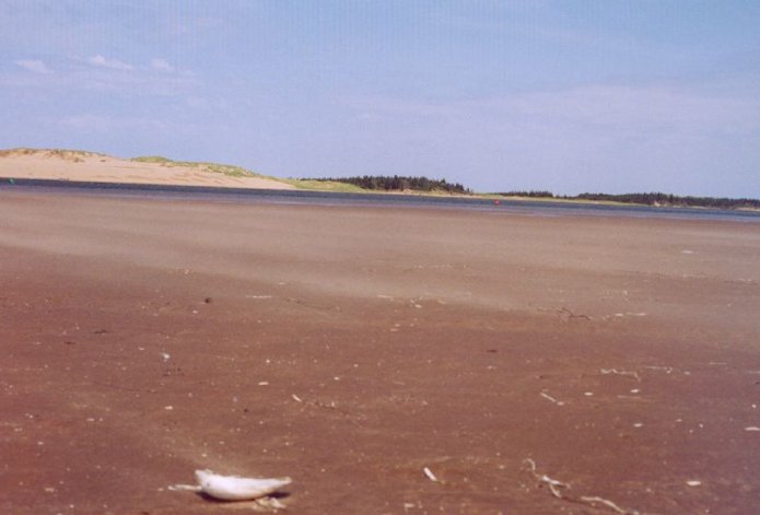 241054754_4e81522659_o