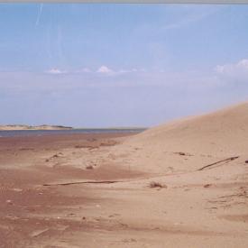 241054777_e6468e7151_o