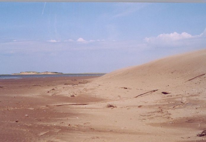 241054777_e6468e7151_o