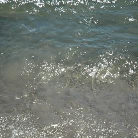 2556445400_497ee01c74_o