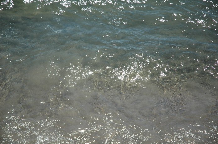 2556445400_497ee01c74_o