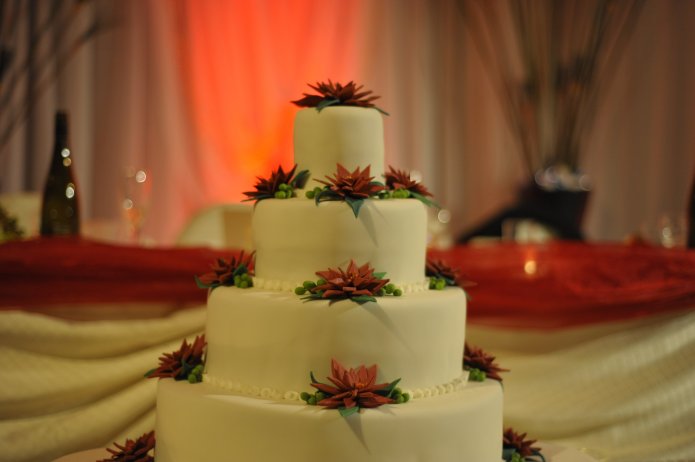 4245171730_f5e5806374_o