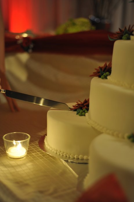 4245199304_0b0f3a6a90_o