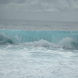 424167959_e0e0ee128d_o