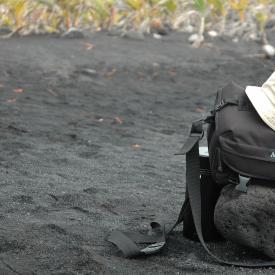 424169647_8ca837f0ea_o