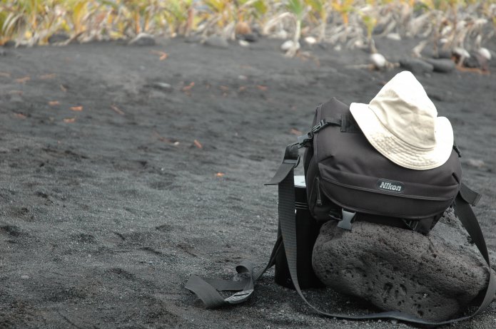 424169647_8ca837f0ea_o