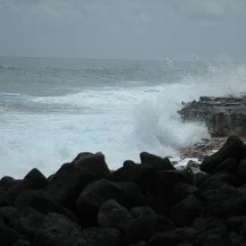 424172734_166962242b_o