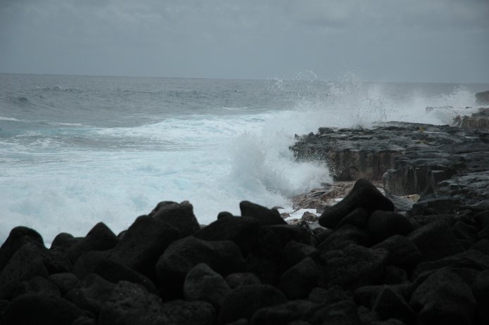 424172734_166962242b_o