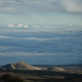 424174672_7f882970b1_o