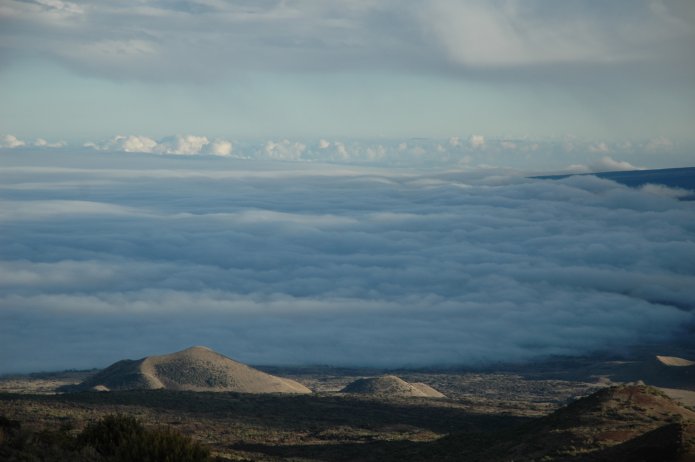 424174672_7f882970b1_o