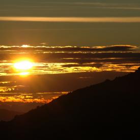 424175409_41c75fdbeb_o