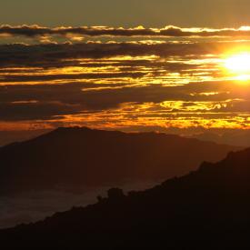 424176319_03de0b3370_o