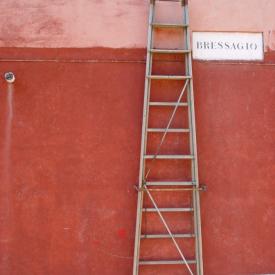 230488022_ed502df281_o