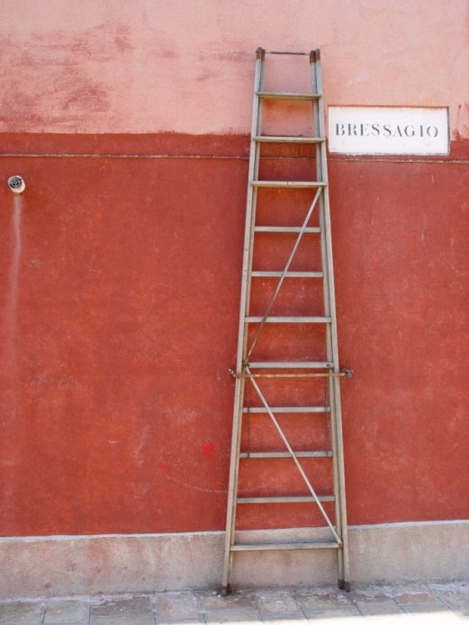 230488022_ed502df281_o