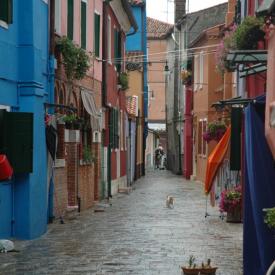 230488711_183160b1d4_o