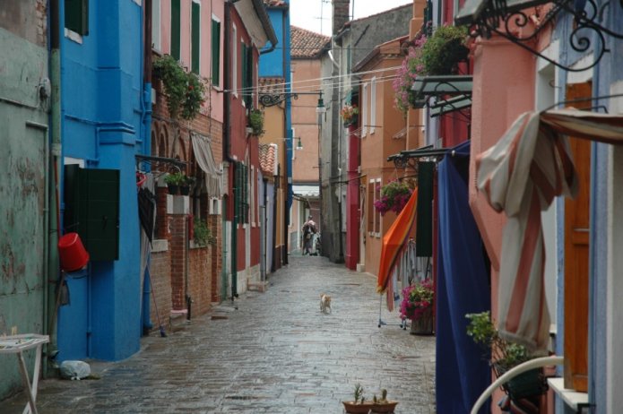 230488711_183160b1d4_o