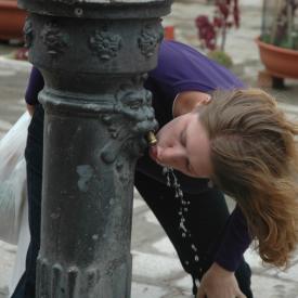 230488990_8a363942a6_o