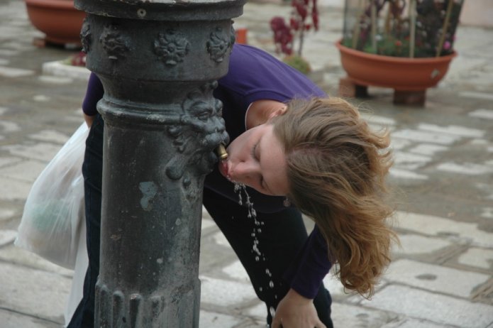 230488990_8a363942a6_o