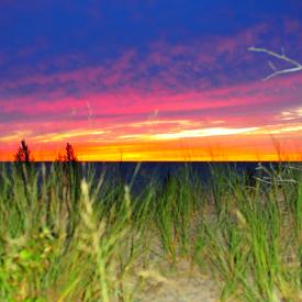 4910553767_62c7c9ce3f_o