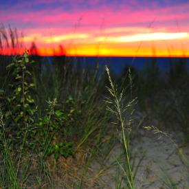 4910554183_1da20210ce_o