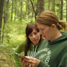 4910554491_ef18380c90_o