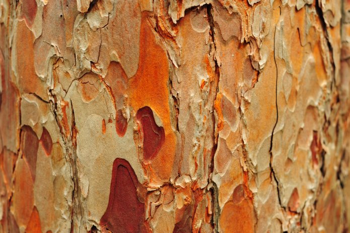 4910554935_fb364a49ba_o