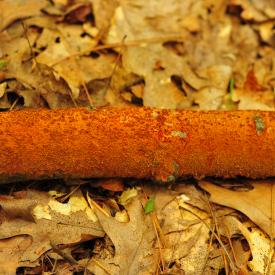 4910555343_1c442eca13_o