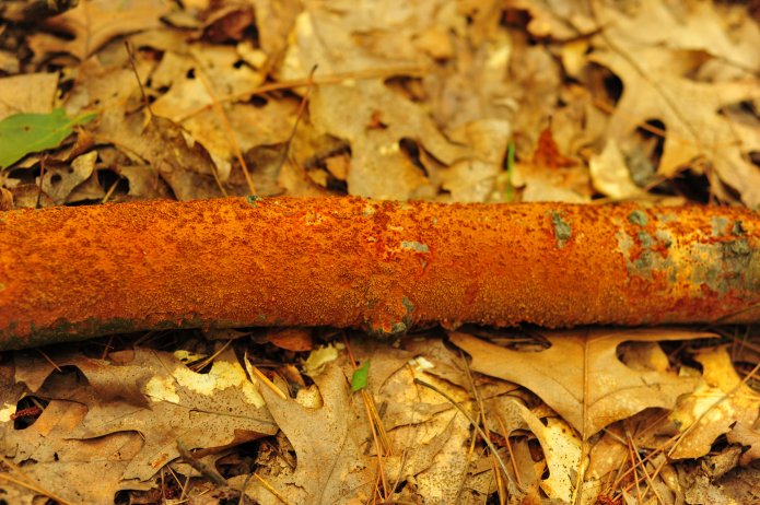 4910555343_1c442eca13_o