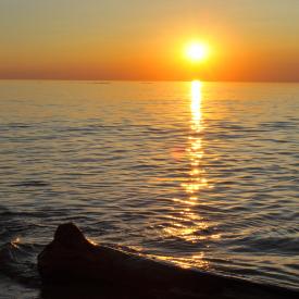 4910557967_0db0140bdd_o