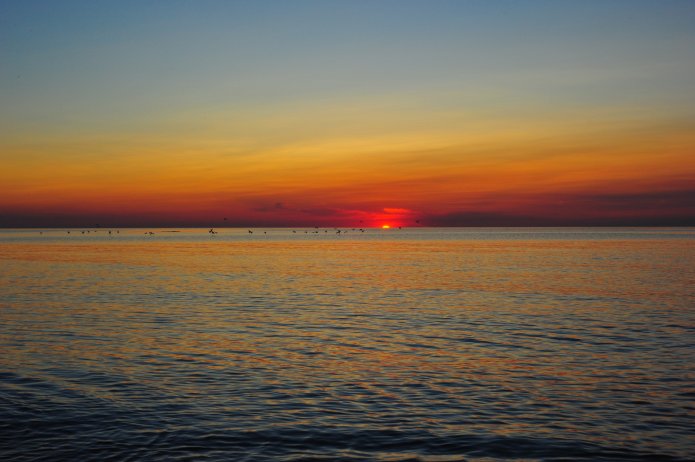 4910559513_f8bb3d6853_o