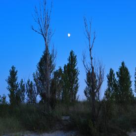 4910561707_fde63c9bdd_o