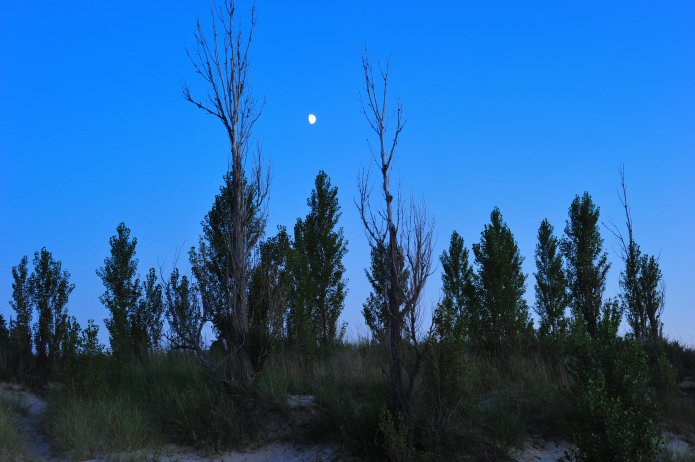 4910561707_fde63c9bdd_o