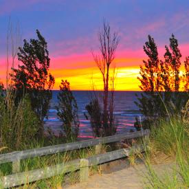 4911154608_d03fac6c8c_o