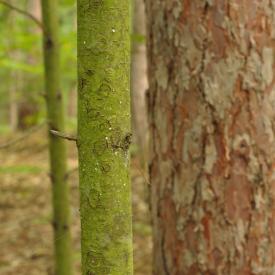 4911158320_53a6f30c3a_o