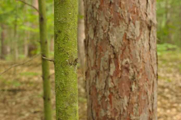 4911158320_53a6f30c3a_o