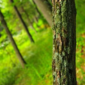 4911158946_5516ef9343_o