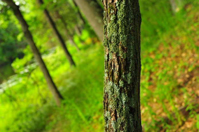 4911158946_5516ef9343_o