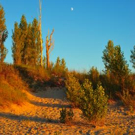 4911159514_4304bcfd01_o