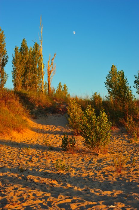 4911159514_4304bcfd01_o