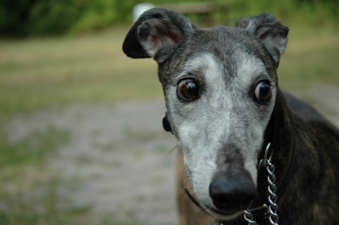 36692424_622f523a06_o