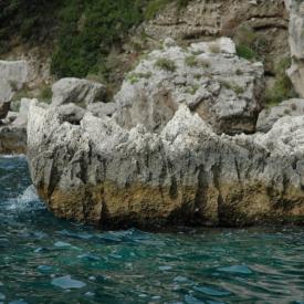 230489754_2cea97db60_o